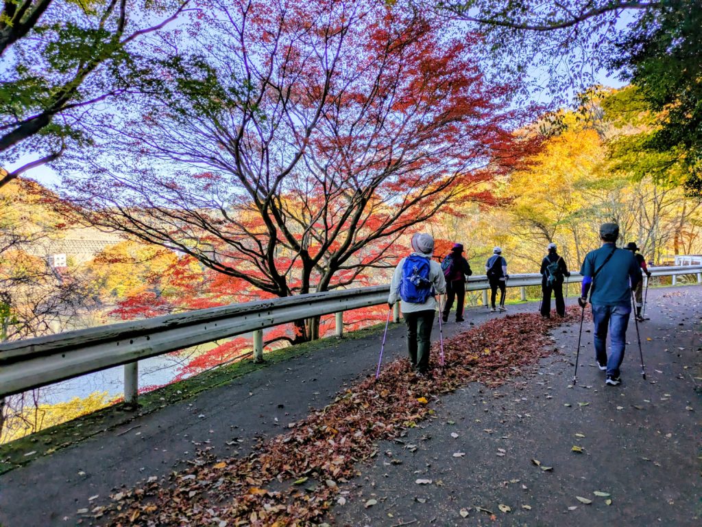 月イチ☆ノルディックウォーキング 2025.11